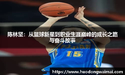 xingkong体育官网登录