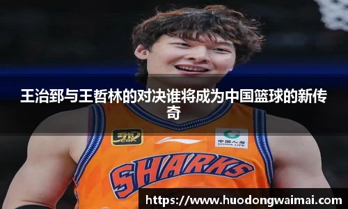 王治郅与王哲林的对决谁将成为中国篮球的新传奇